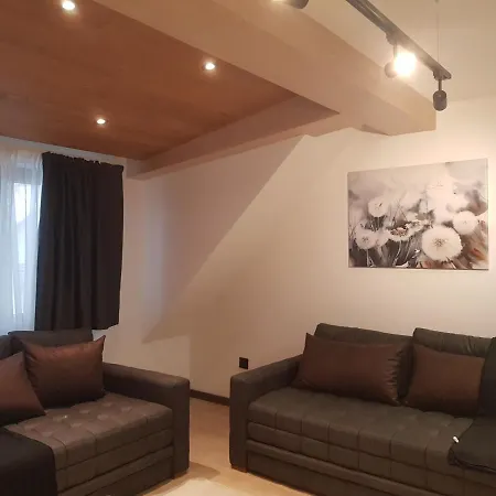 Family Apartmans Harry- Apartmans Of The & Zoned, - Special Benefit, Children Up To 13 Years Of Age Accompanied By Two Adults For Free-parking-breakfast-pool&spa Kopaonik