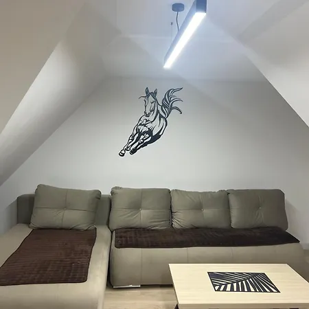 Family Apartmans Harry- Apartmans Of The & Zoned, - Special Benefit, Children Up To 13 Years Of Age Accompanied By Two Adults For Free-parking-breakfast-pool&spa 4* Kopaonik