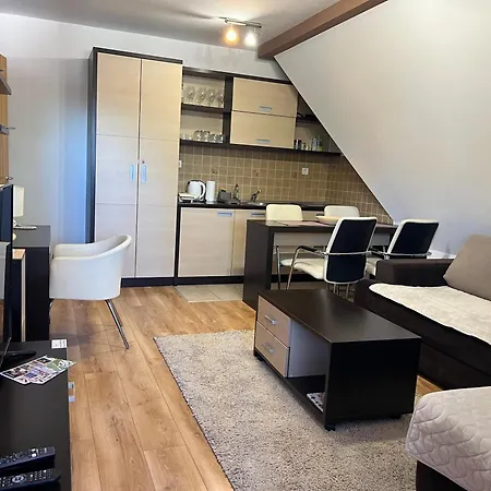 Family Apartmans Harry- Apartmans Of The & Zoned, - Special Benefit, Children Up To 13 Years Of Age Accompanied By Two Adults For Free-parking-breakfast-pool&spa Kopaonik