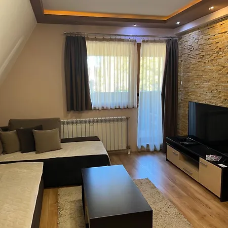 Aparthotel Family Apartmans Harry- Apartmans Of The & Zoned, - Special Benefit, Children Up To 13 Years Of Age Accompanied By Two Adults For Free-parking-breakfast-pool&spa 4*