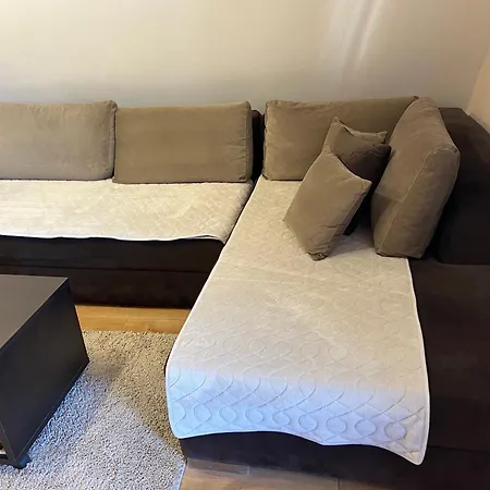 Harry Apartments - Apart & Spa Zoned Kopaonik, Special Offer For Genius Status, In Addition, We Offer Special Benefits For Children Up To 17 Years Old!!! (Adults Only) アパートホテル コパオニク