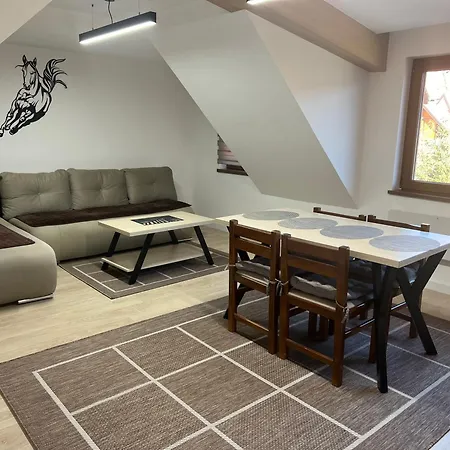 Family Apartmans Harry- Apartmans Of The & Zoned, - Special Benefit, Children Up To 13 Years Of Age Accompanied By Two Adults For Free-parking-breakfast-pool&spa Kopaonik