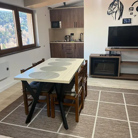 Family Apartmans Harry- Apartmans Of The & Zoned, - Special Benefit, Children Up To 13 Years Of Age Accompanied By Two Adults For Free-parking-breakfast-pool&spa 4* Kopaonik