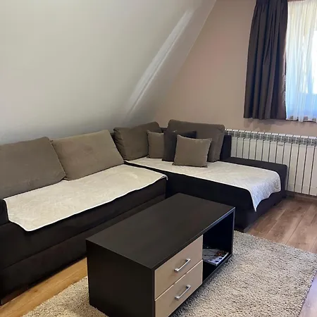 Family Apartmans Harry- Apartmans Of The & Zoned, - Special Benefit, Children Up To 13 Years Of Age Accompanied By Two Adults For Free-parking-breakfast-pool&spa 4* Kopaonik