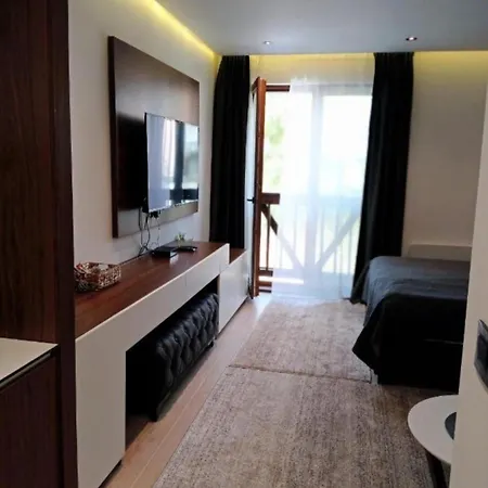 Harry Apartments - Apart & Spa Zoned Kopaonik, Special Offer For Genius Status, In Addition, We Offer Special Benefits For Children Up To 17 Years Old!!! (Adults Only) アパートホテル