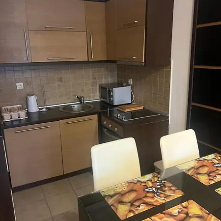 Aparthotel Harry Apartments - Apart & Spa Zoned Kopaonik, Special Offer For Genius Status, In Addition, We Offer Special Benefits For Children Up To 17 Years Old!!! (Adults Only) Kopaonik